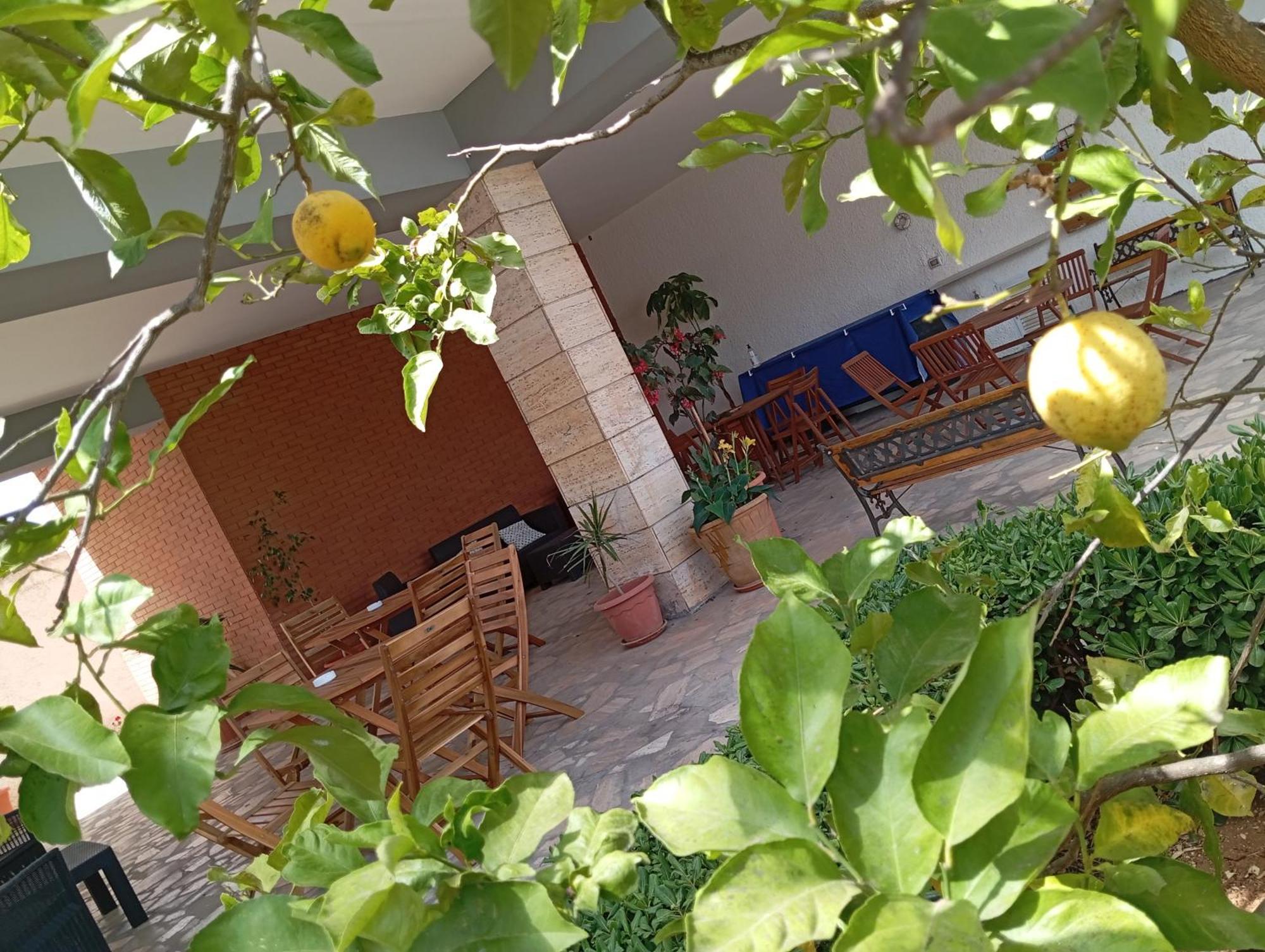 سالفي B&B Il Cedro المظهر الخارجي الصورة
